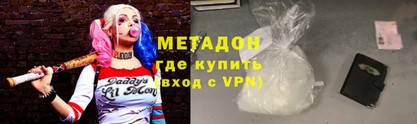 гашик Алексин