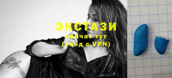 гашик Алексин
