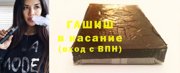 гашик Алексин