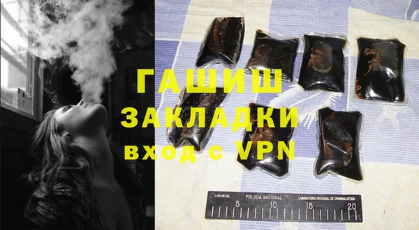 гашик Алексин