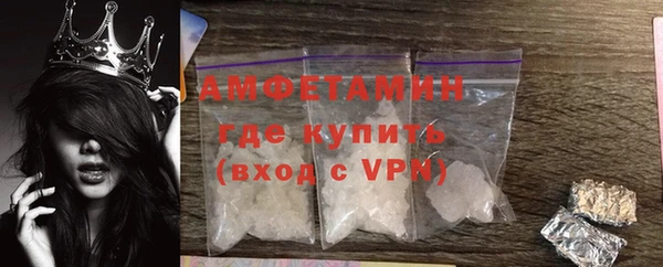 гашик Алексин