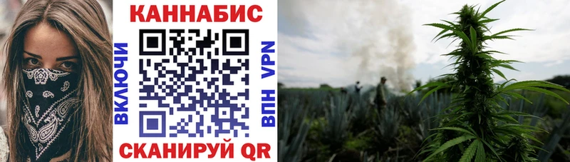 купить наркотик  Солнечногорск  Конопля AK-47 